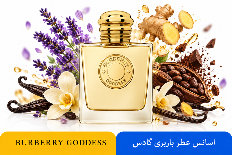 عطر زنانه باربری گادس فرگ ورلد | وانیلی و گرم